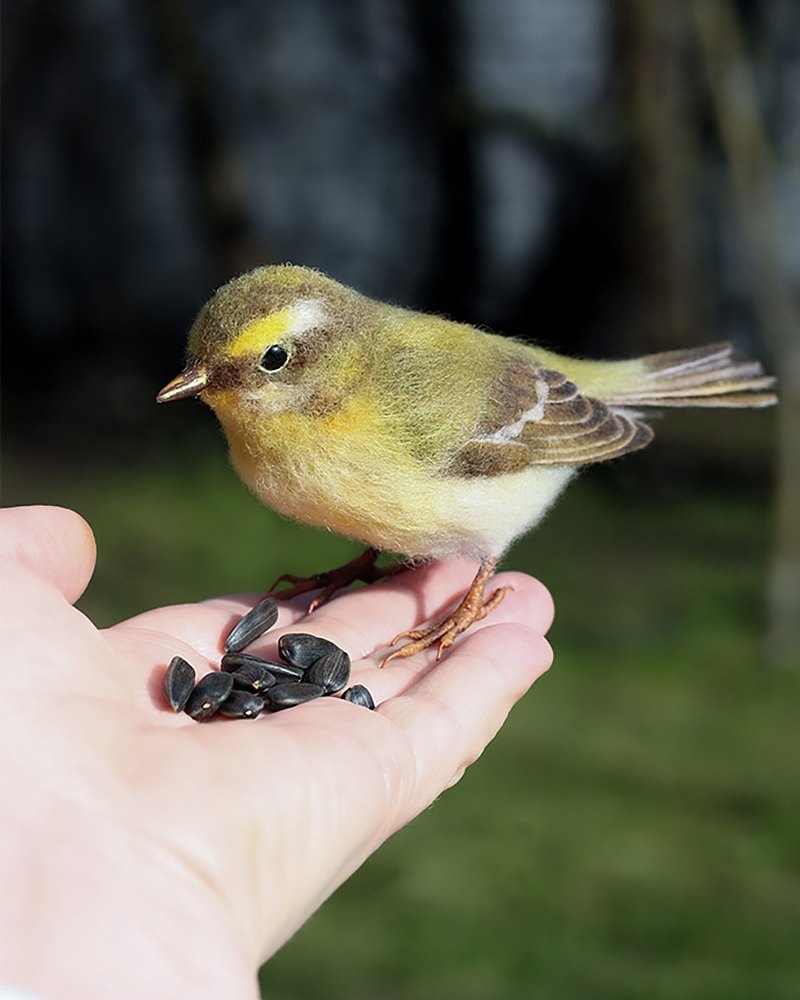 Felt toy bird Chiffchaf- Felted handmade toy - Wool interior toy - Realistic toy  最新