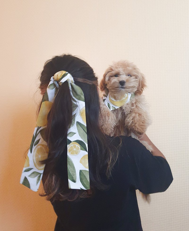 Lemons SET of 2 : Doggie Bandanas and  Hair Ties for the fashionable dog-mom  最新