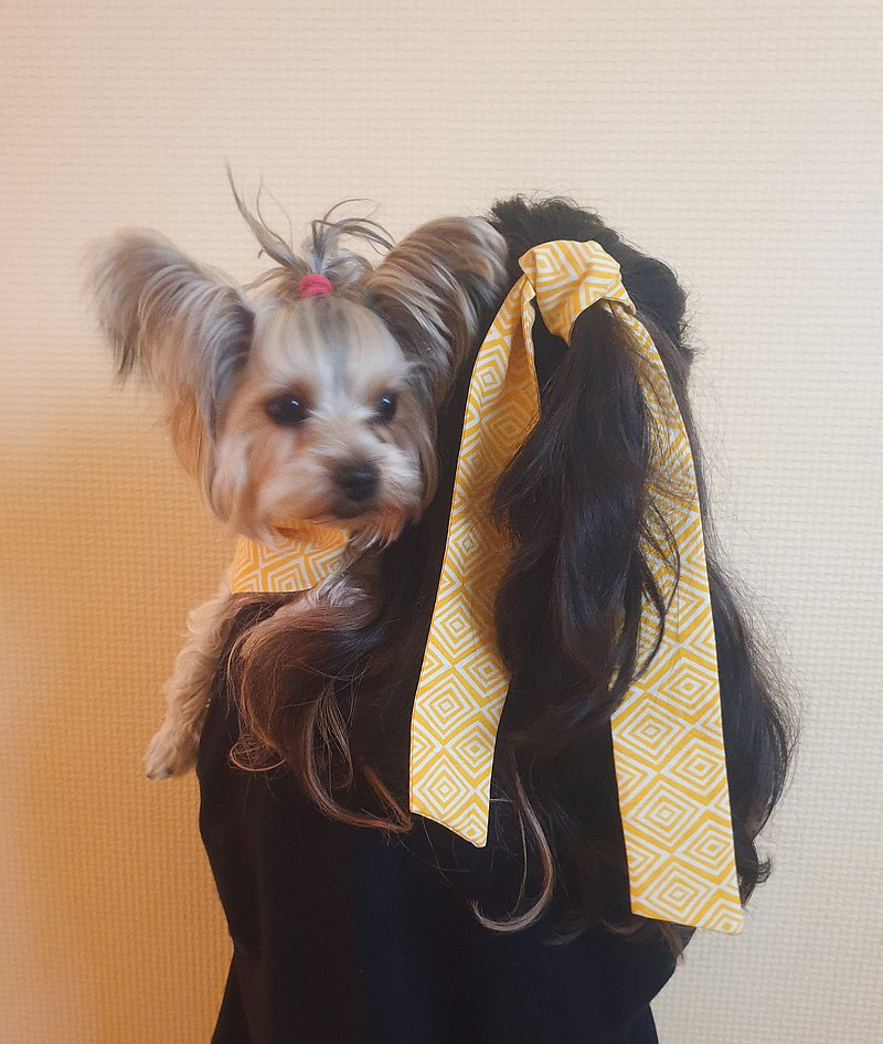 Rombs SET of 2 : Doggie Bandanas and  Hair Ties for the fashionable dog-mom  最新