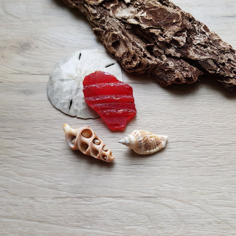 Large red sea glass. Genuine sea glass P100  最新